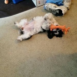 Meet your Posher, Tina